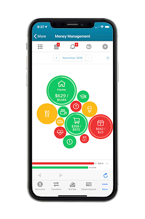 Mobile device displaying money management screen