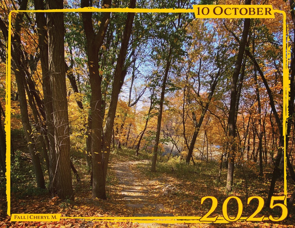 October 25th Fall Snapshots 2025 Calendar Winners Announced! - First Citizens (myFCB)