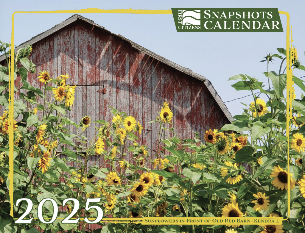 Front Cover - &quot;Sunflowers in Front Of Old Red Barn&quot; by Kendra L