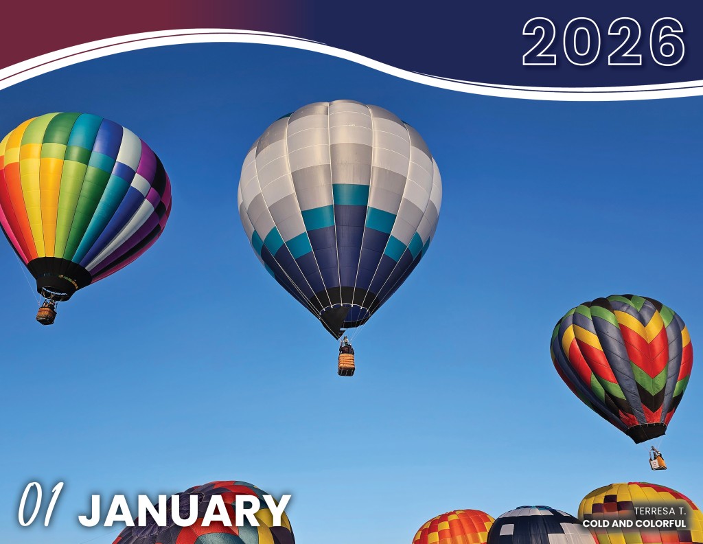 JANUARY 2026 - COLD AND COLORFUL | TERRESA T.