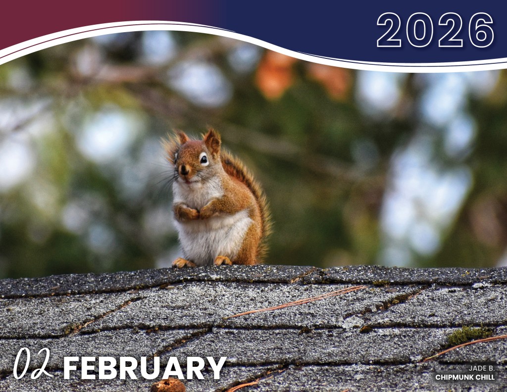FEBRUARY 2026 - CHIPMUNK CHILL | JADE B.