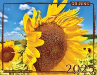 June - &quot;Happy Sunflower&quot; by Jennifer O