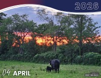 APRIL 2026 - NIGHT TIME SNACK | CHARLES K.