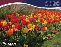 MAY 2026 - CYCLONE TULIPS | JESSICA H.