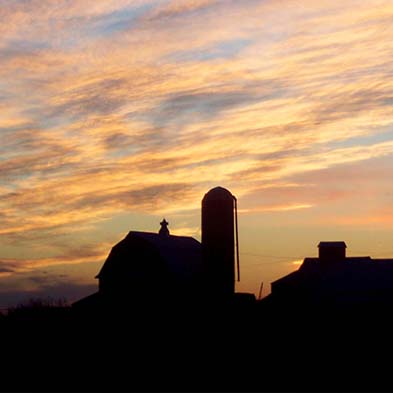 Farm skyline at dusk